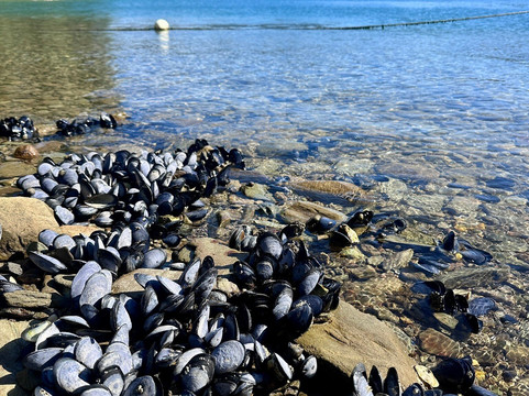 Tawa Cove Cabins-Endeavour Inlet必去景点