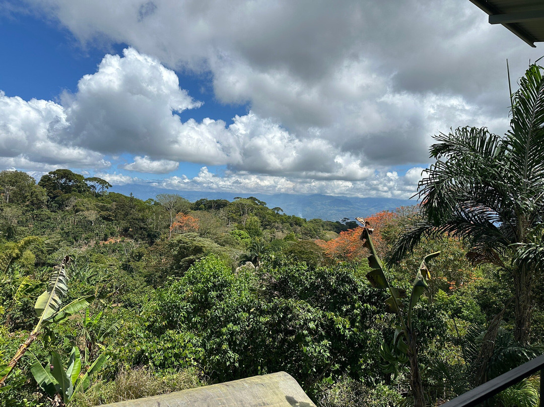 Fallas Coffee Costa Rica-Aguas Buenas必去景点