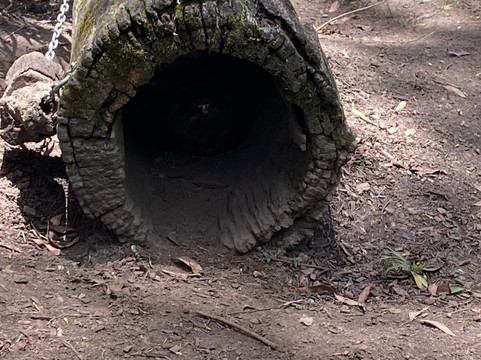 The Big Pineapple-Nambour必去景点