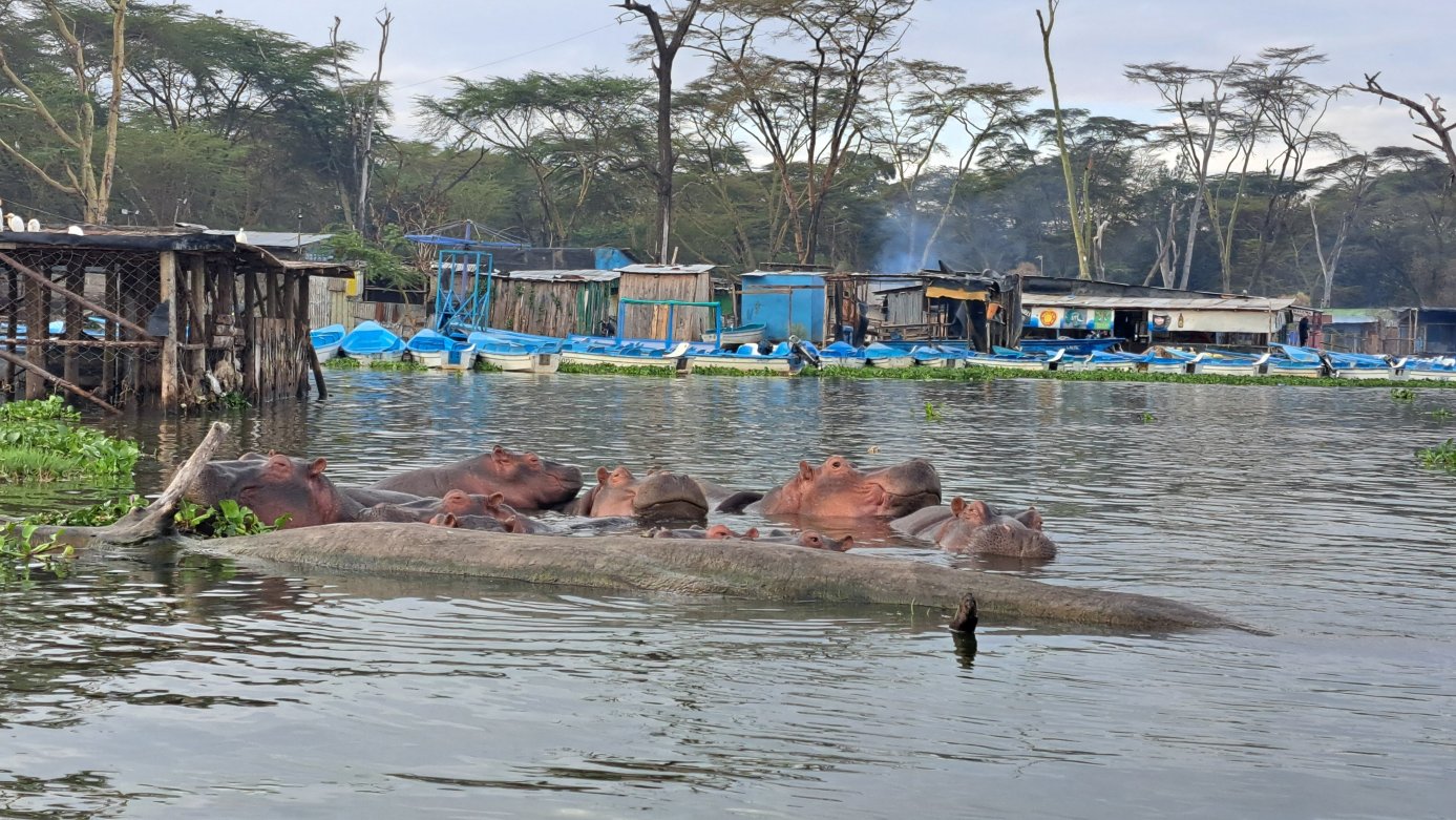 萨维拉旅馆-官方