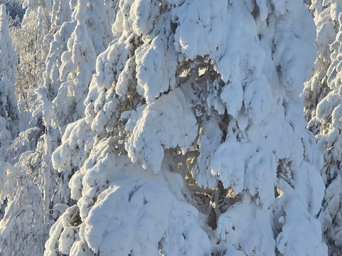 Hotel Silverhatten主图