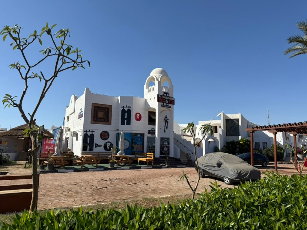 Aqua Sharm Diving College-沙姆沙伊赫必去景点