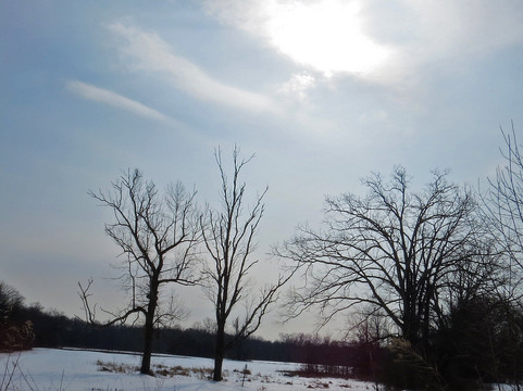 Helen C. Fenske Visitor Center-Morris Plains必去景点