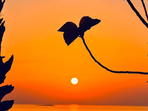 Hawar Resort by Mantis主图