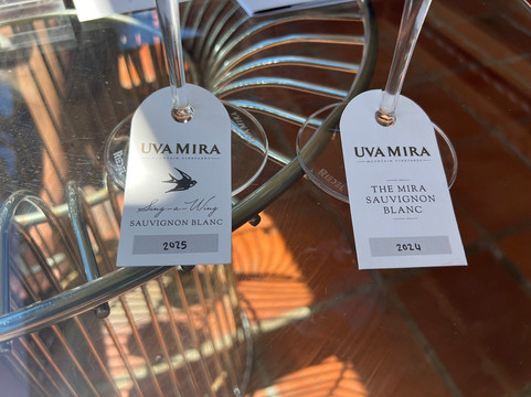 Uva Mira Mountain Vineyards-斯泰伦博斯必去景点