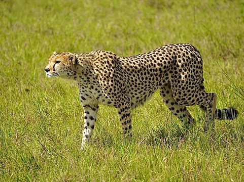 Odyssey Safaris-南由基必去景点