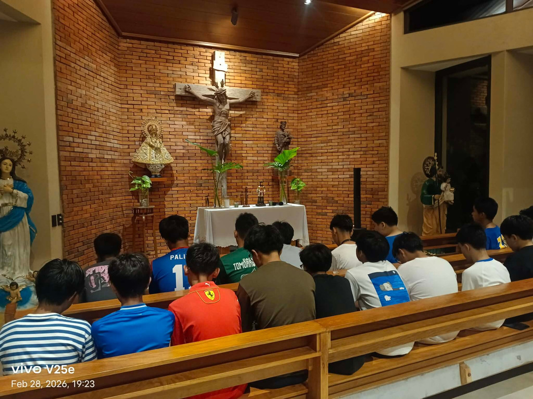 扎伊达花园主图