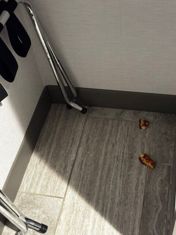 底特律沃伦Homewood Suites by Hilton主图