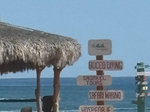 Cabo Pulmo Adventures-Cabo Pulmo必去景点