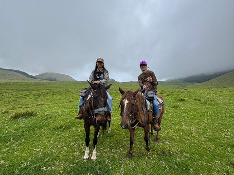 Na'alapa Stables - Kahua Ranch-卡慕也拉必去景点