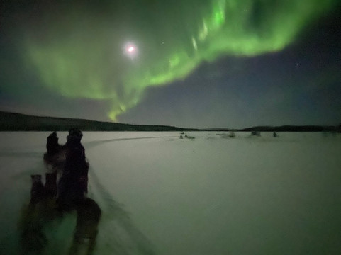 Wild Lapland-Rusktrask必去景点