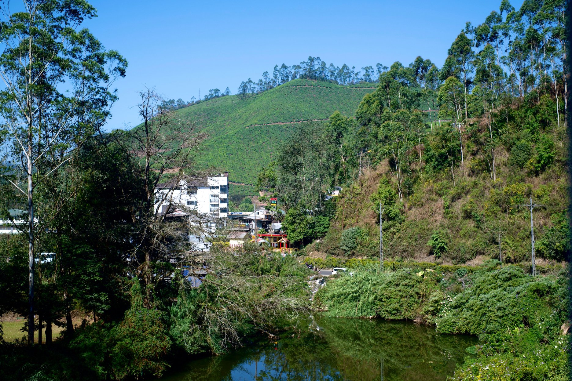 格兰德蒙纳广场酒店-官方