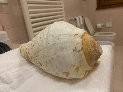 B&B Maison Il Melograno主图