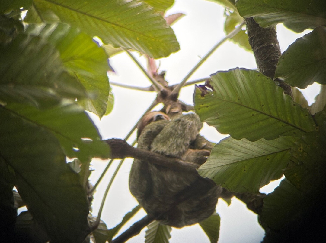 Costa Rica Experts-圣何塞必去景点