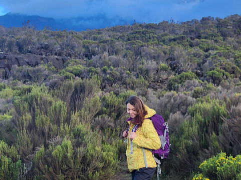 Altezza Travel-莫西必去景点