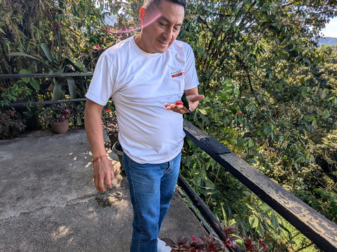 Lincolnjabra-Tumbaco必去景点