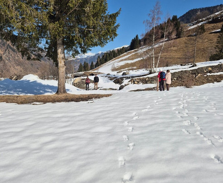 劳里塞贺夫酒店主图
