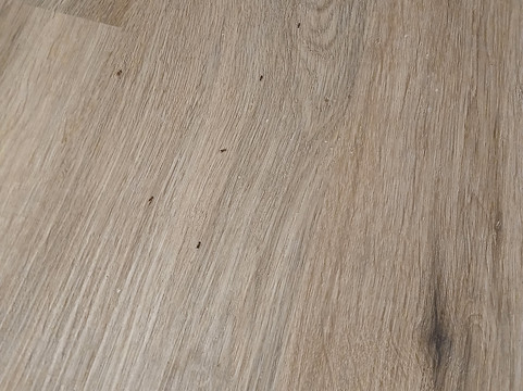 拉皮尔贝斯特韦斯特酒店主图