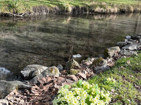 Parc du Chateau de Vizille-Vizille必去景点