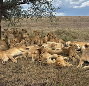 Dream Wonders Travel-莫西必去景点