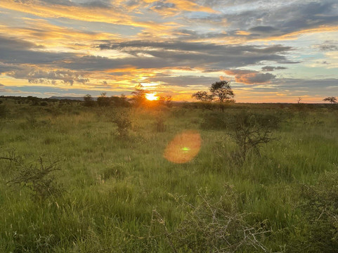Safari Avventura-阿鲁沙必去景点