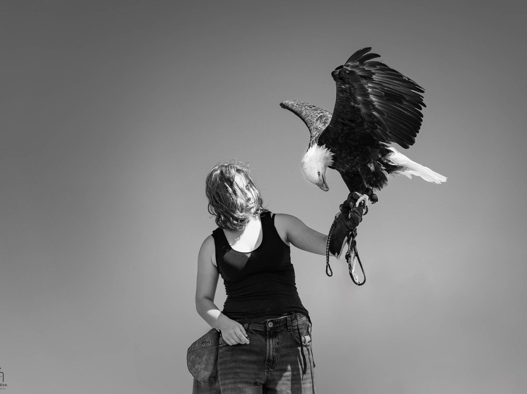 Wild World-Porto Potenza Picena必去景点