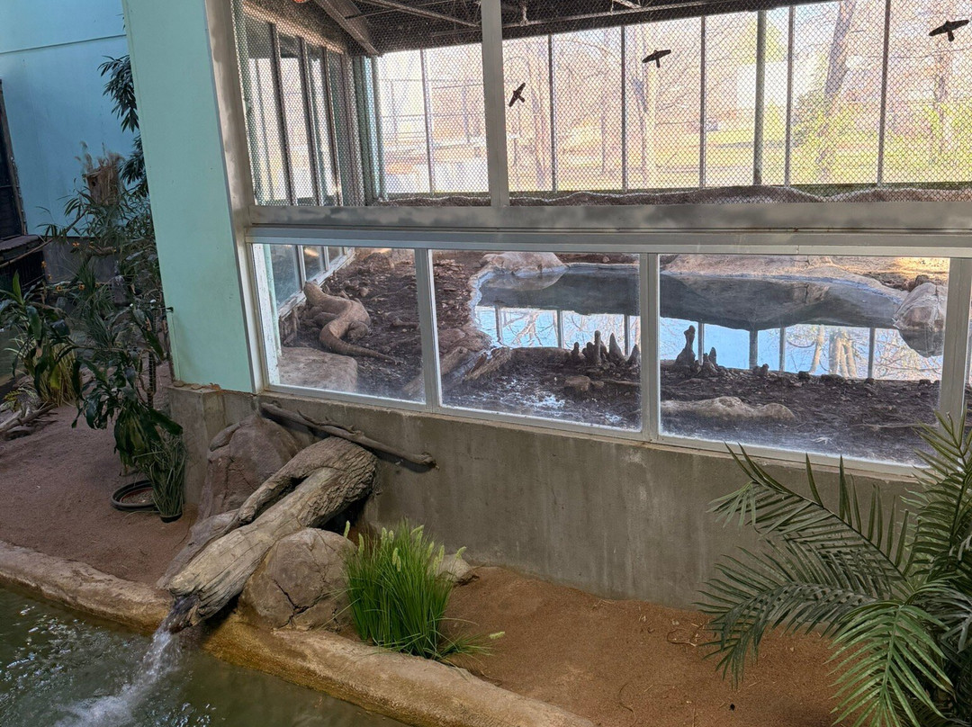 Tulsa Zoo-塔尔萨必去景点