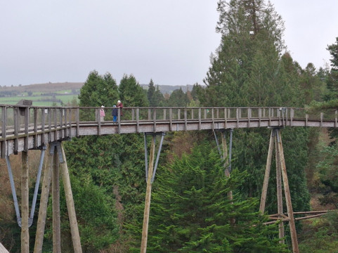 Treetop Walk Avondale