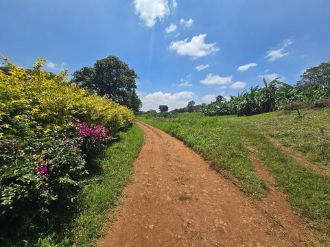 Fairview Coffee Estate-内罗毕必去景点