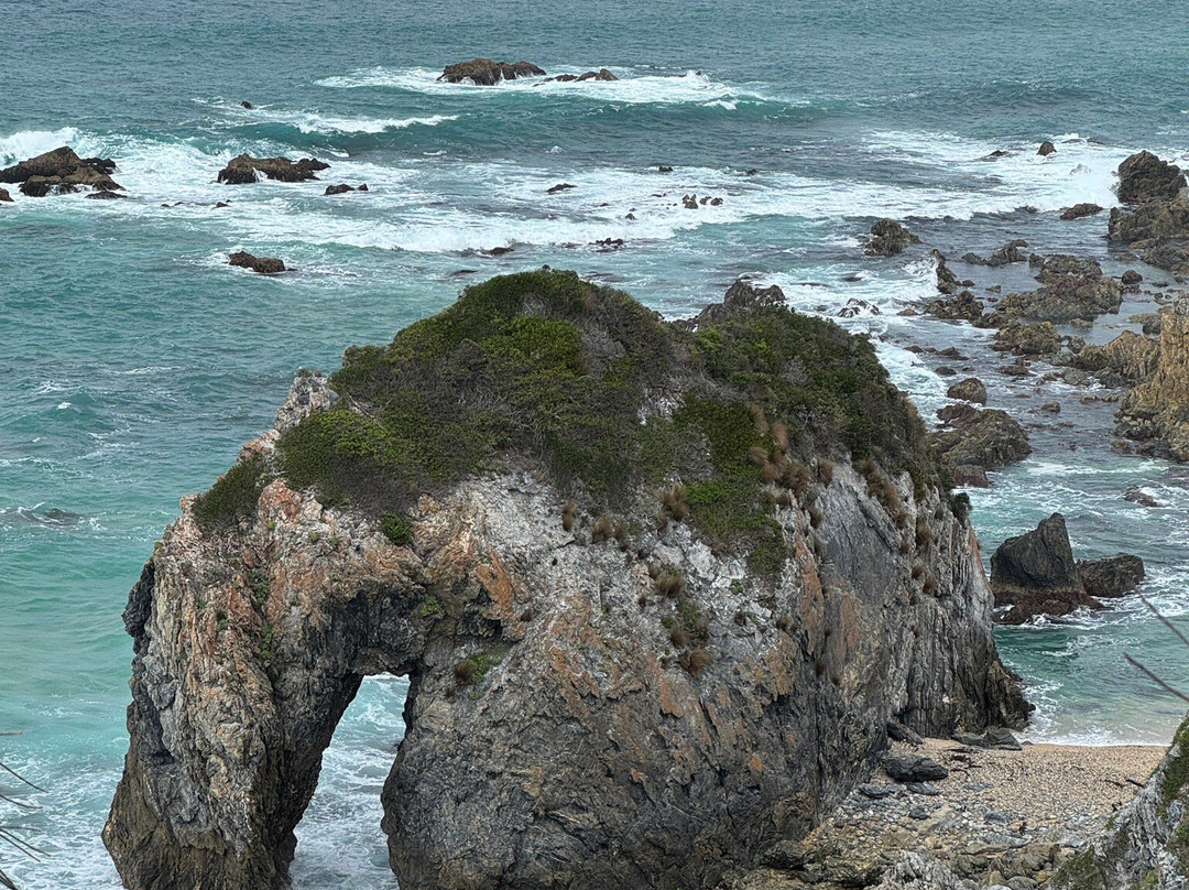 Horse Head Rock-Bermagui必去景点