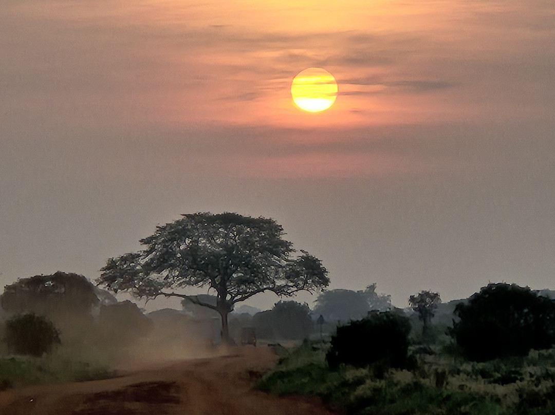 Safari In Kenya Con Samba-瓦塔木必去景点