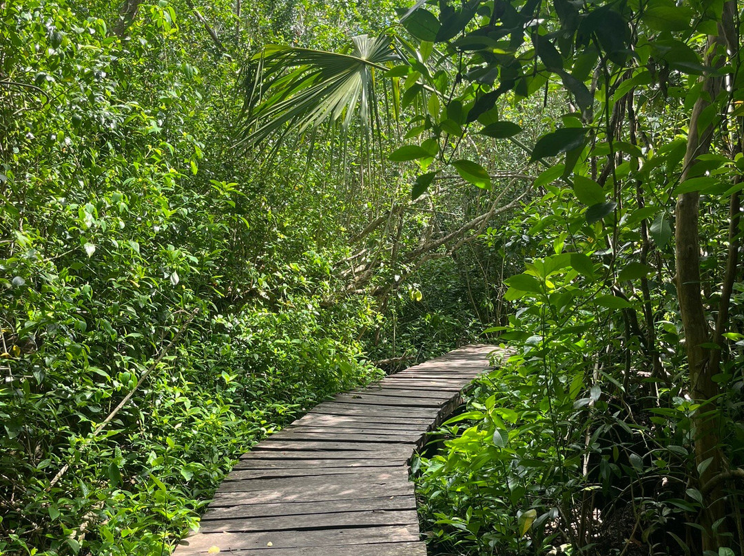 Zona Arqueológica de Muyil-Chunyaxche必去景点