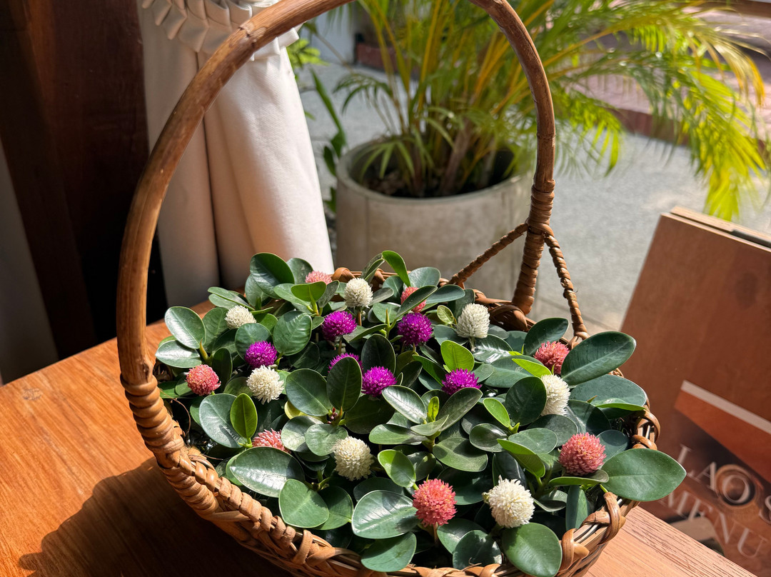 乐森精品酒店主图