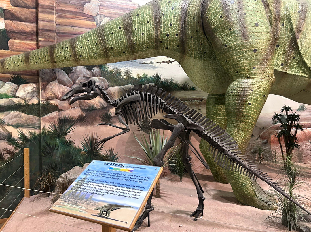 The Dinosaur Store-可可海滩必去景点