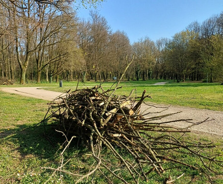Bosco delle Querce-塞维索必去景点