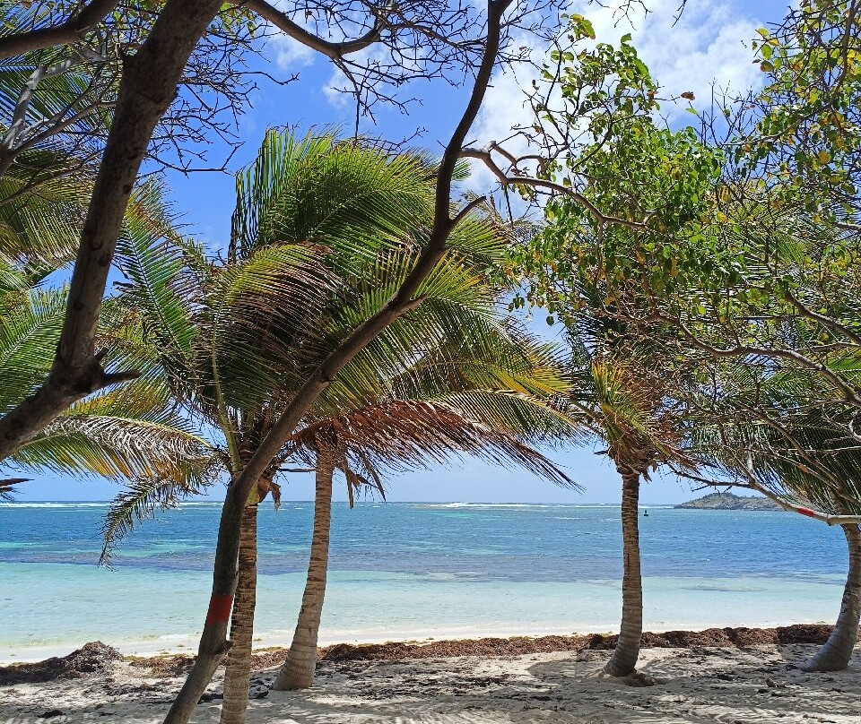 Anse Michel-Sainte-Anne必去景点