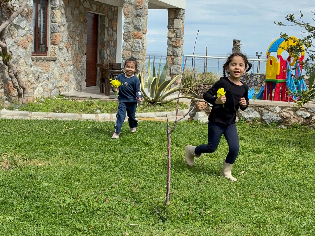 Ardıc Agacı Tatil Köyü