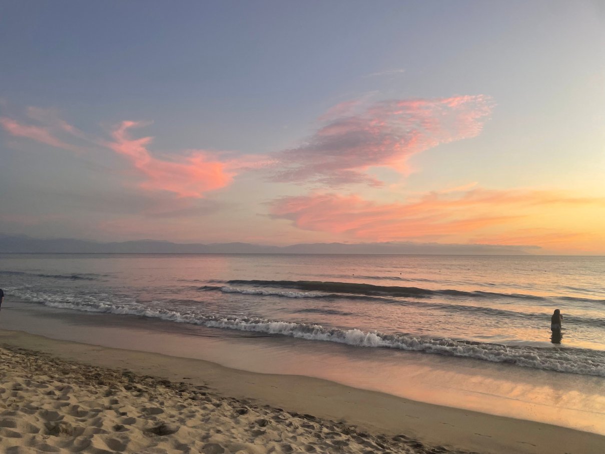 Hotel Riu 哈利斯科 - 全包-官方