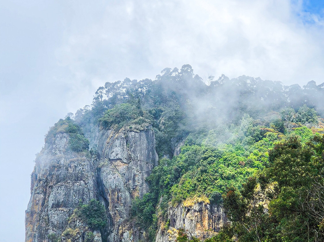 Tripcat-班加罗尔必去景点