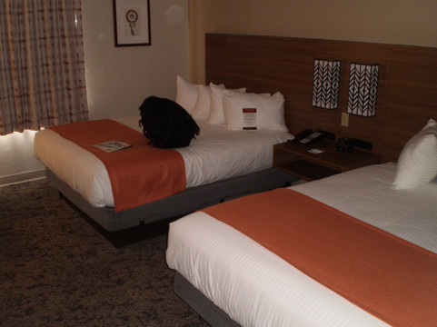 马斯威克南部山林小屋主图