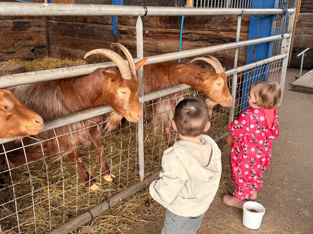 Glebe Farm Astbury-康格尔顿必去景点