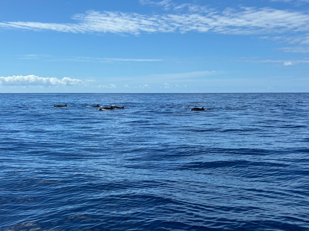 Soleil Excursions-Pointe-Noire必去景点