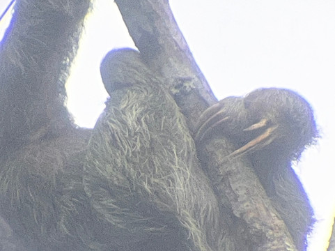 Top Travel Costa Rica-圣何塞必去景点