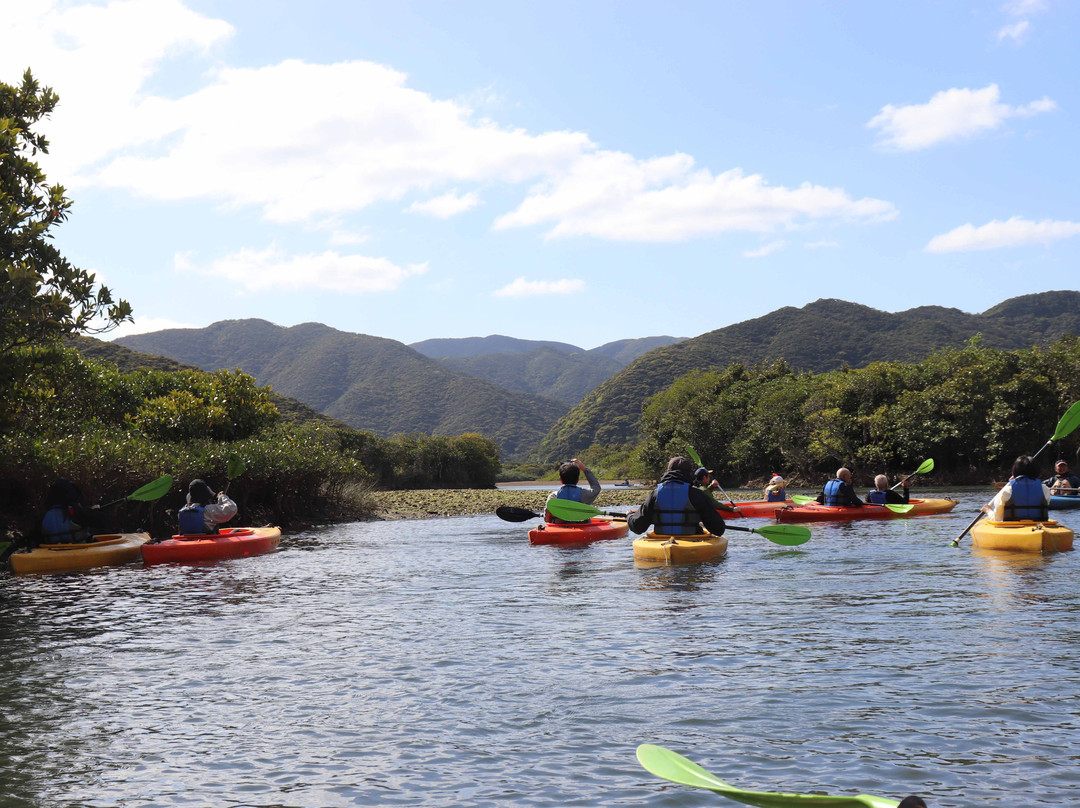 Kuroshio no Mori Mangrove Park-奄美市必去景点