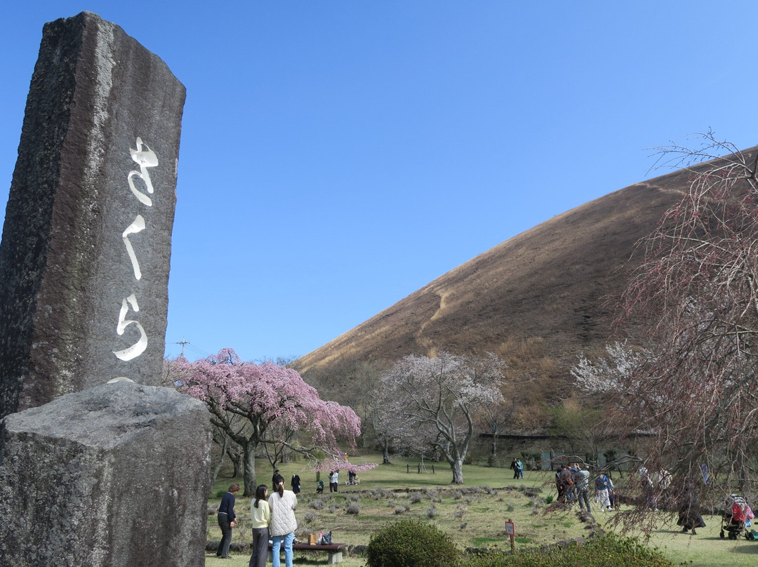 Sakura no Sato-伊东市必去景点