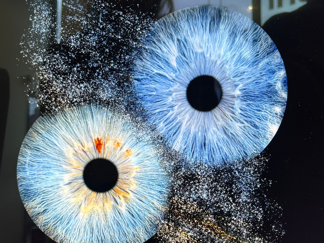 Iris Galerie Groningen-格罗宁根省必去景点