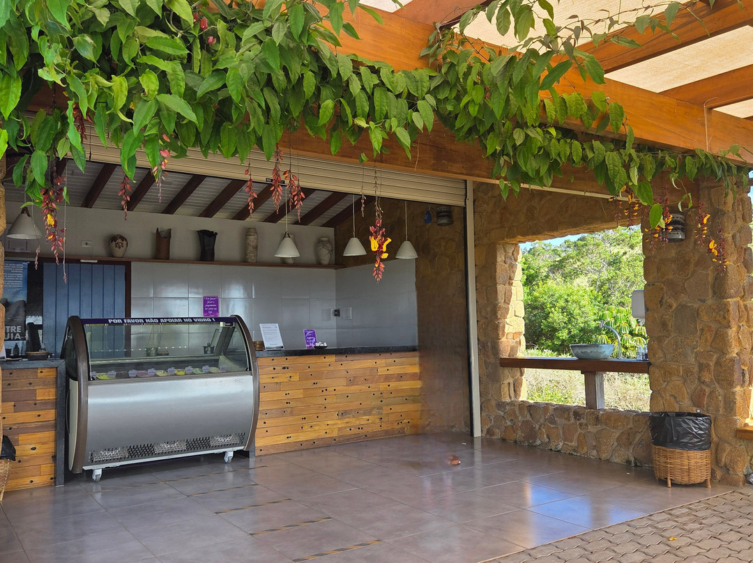 Lavandario-Cunha必去景点