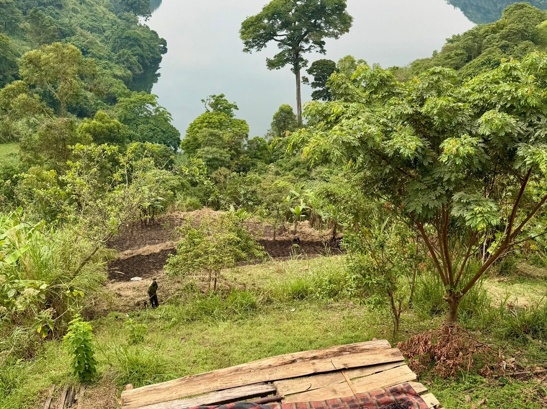 Nsavi Safaris-坎帕拉必去景点