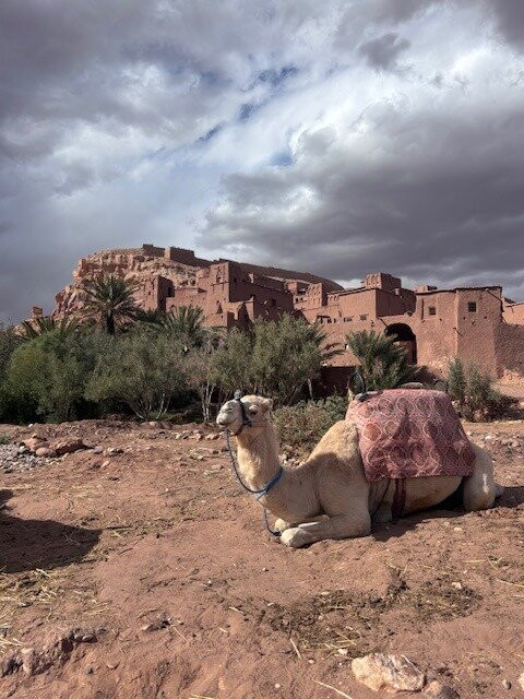 Morocco Easy Tours - Morocco Tours-马拉喀什必去景点