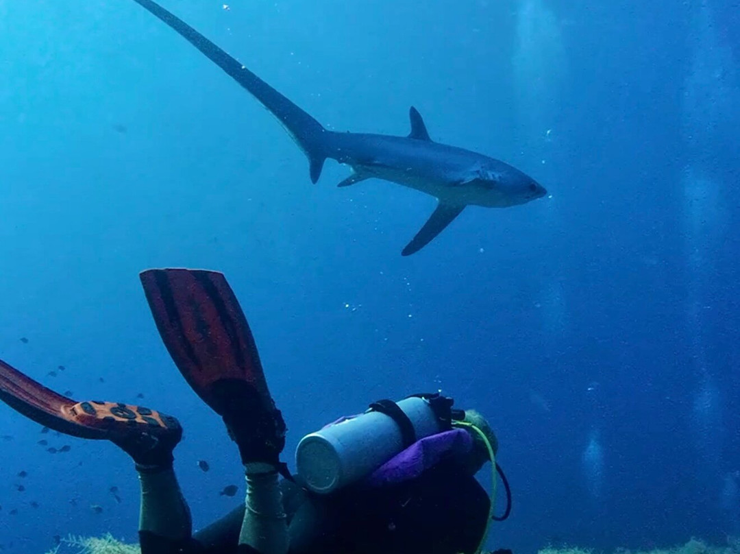 Mbi Divecenter-妈妈拍丝瓜岛必去景点